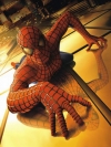 《蜘蛛侠3 Spider-Man 3》手机壁纸