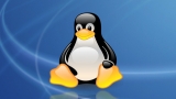 Linux企鹅桌面