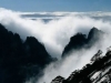 黄山山峰雾景与不老松