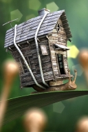 3D制作-背着木房子的蜗牛