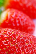 红红的草莓果实
