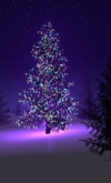 一些布置得非常漂亮的圣诞树